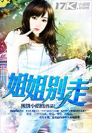 姐姐别走封面