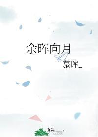 余晖向月封面