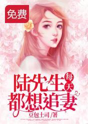 陆先生每天都想追妻封面