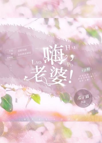 嗨，老婆！封面