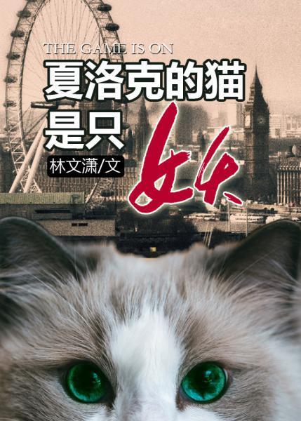 夏洛克的猫封面