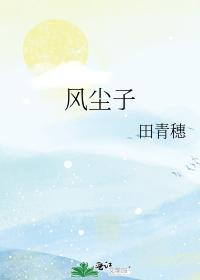 风尘子封面