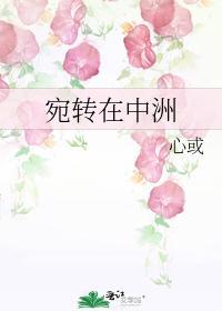 宛转在中洲封面