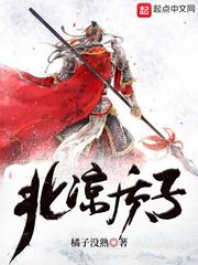北凉质子封面