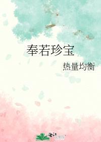 奉若珍宝封面
