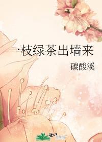 一枝绿茶出墙来封面