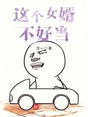 农门女婿不好当txt下载封面