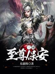 三国至尊保安封面