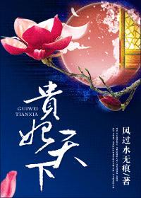 贵妃天下（重生）封面