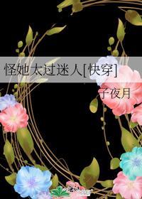 怪她太过迷人封面