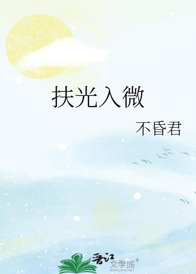 扶光入微封面