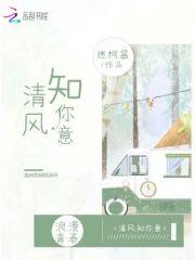 清风知你意封面