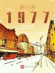 那一年1977封面