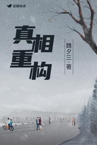 真相重构封面