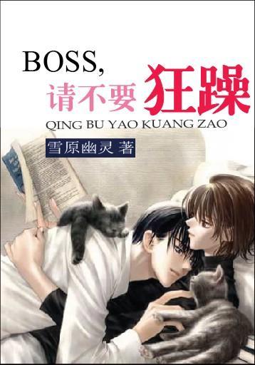 BOSS，请不要狂躁封面