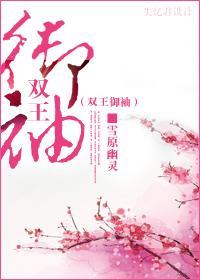 双王御袖封面
