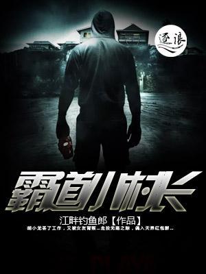 霸道小村长封面