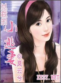 总裁的小逃妻封面