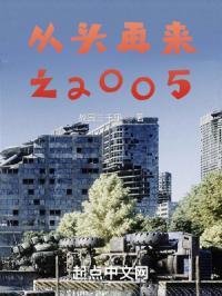 重生从2005开始封面