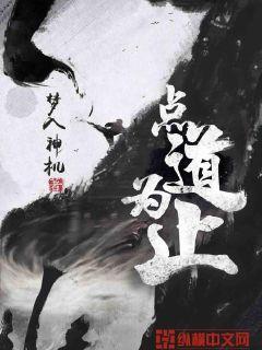 点道为止点到为止王井三十封面