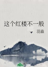 这个红楼不一般封面
