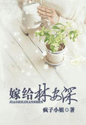 嫁给林安深封面
