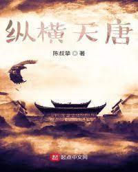 纵横天唐封面