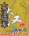 大汉骑军封面