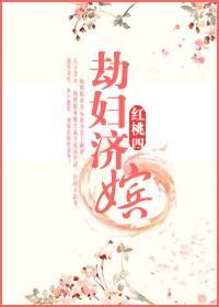 劫妇济嫔封面
