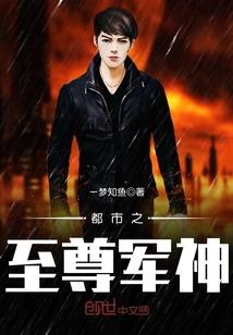 都市之至尊军神封面