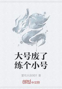 大号废了练个小号封面