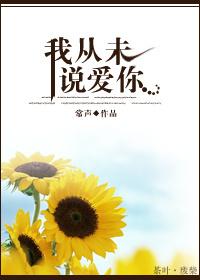 我从未说爱你封面