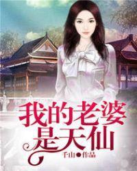 我的老婆是天仙封面