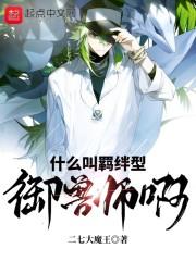 什么叫羁绊型御兽师啊封面