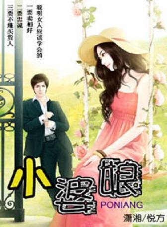小婆娘封面