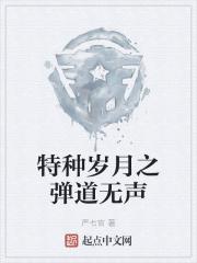 特种岁月之弹道无声封面