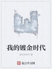 我的镀金时代封面