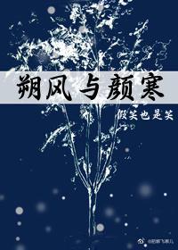 朔风与颜寒封面