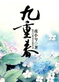 九重春封面