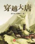 穿越大唐封面