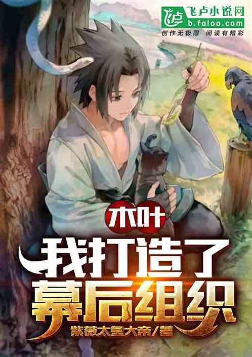 木叶:我打造了幕后组织封面