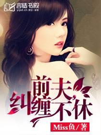 前夫，缠绵不休封面