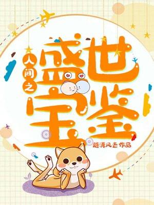 人间之盛世宝鉴封面