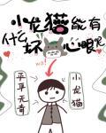 小龙猫能有什么坏心眼呢封面