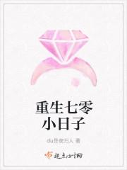 重生七零小日子封面