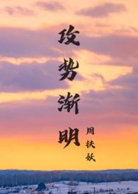 攻势渐明封面