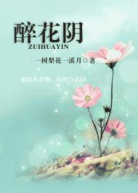 醉花阴封面