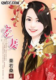 宠妻封面