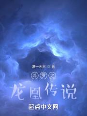 斗罗之龙凰传说封面