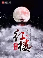 惑乱红楼封面